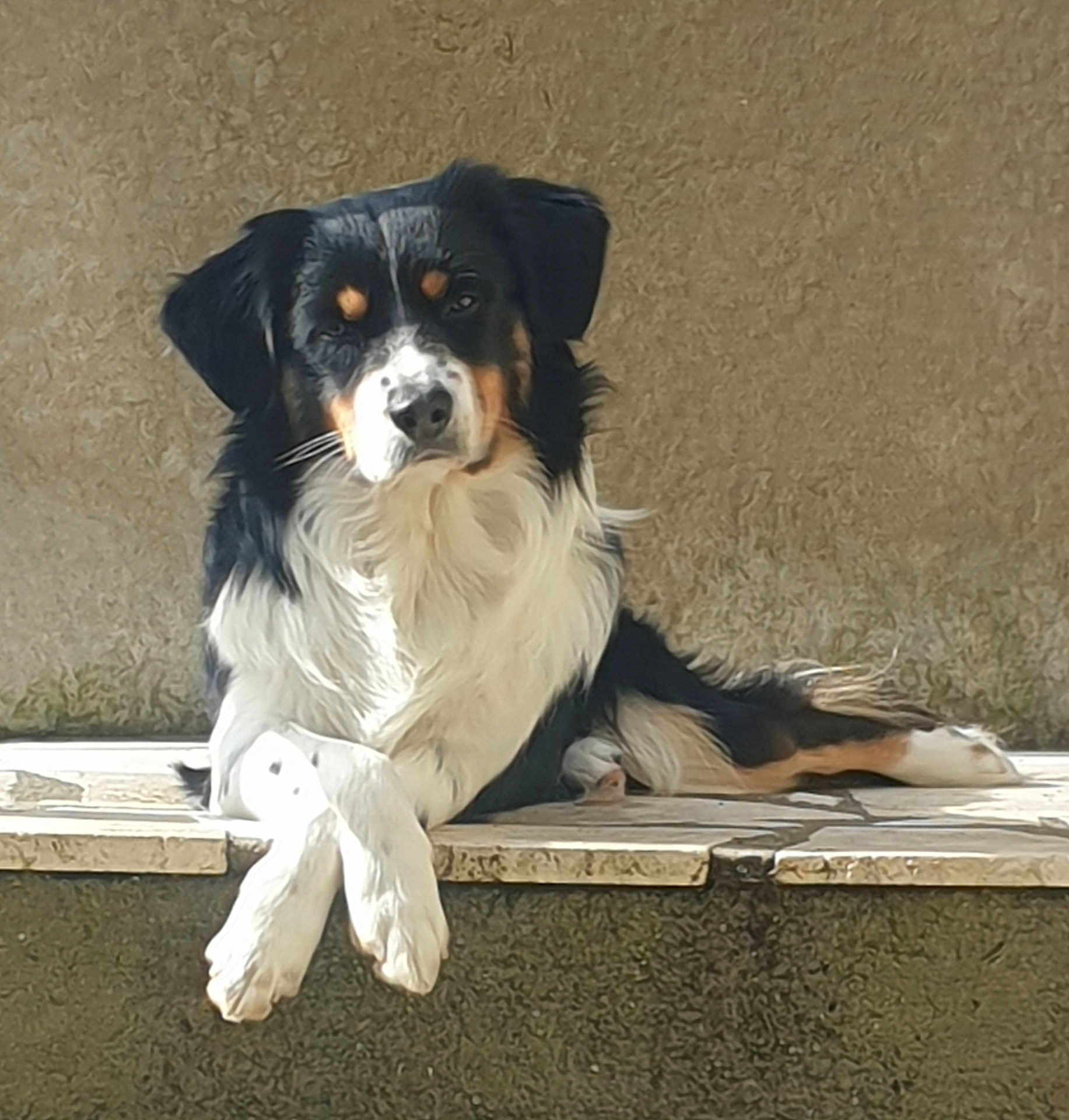 Uguy