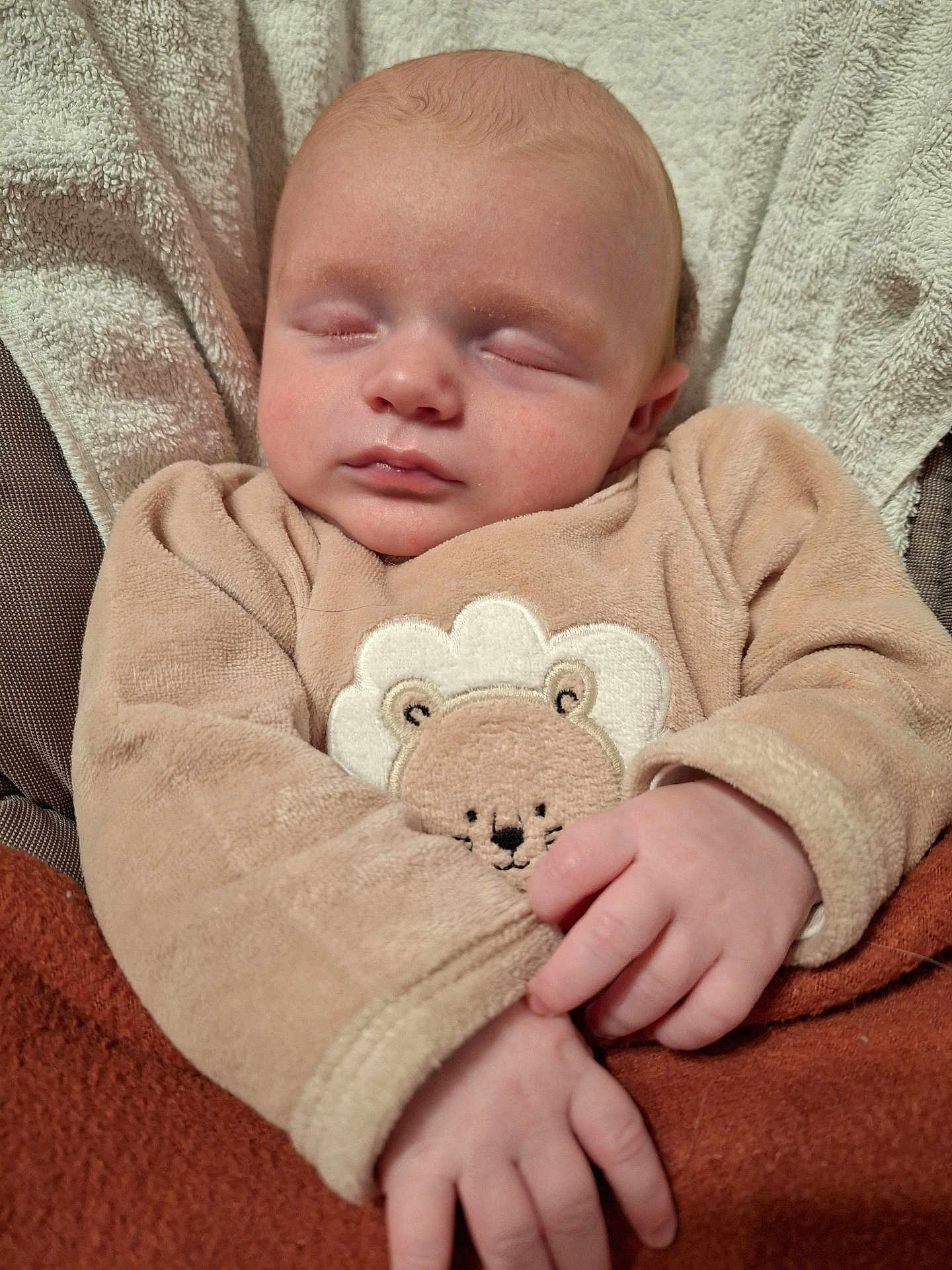 Simon participe au concours pour gagner de l'argent avec cette photo : baby, sleeping, infant, face, hand, clothing, blanket, soft_texture, cute, peaceful, child, portrait, warm, cozy, toddler, lying_down, skin, cute_outfit, animal_patch, resting