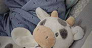 Avery is registered to the contest to win money with this photo: newborn, baby, sleeping, infant, child, face, portrait, blanket, swaddle, hat, striped_hat, plush_toy, cow_toy, stuffed_animal, car_seat, cozy, indoors, peaceful, soft_toys, closeup