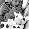 Avery is registered to the contest to win money with this photo: newborn, baby, sleeping, infant, portrait, black_and_white, blanket, swaddle, hat, plush_toy, giraffe, stuffed_animal, stroller, car_seat, cozy, peaceful, indoors, face, child, photography