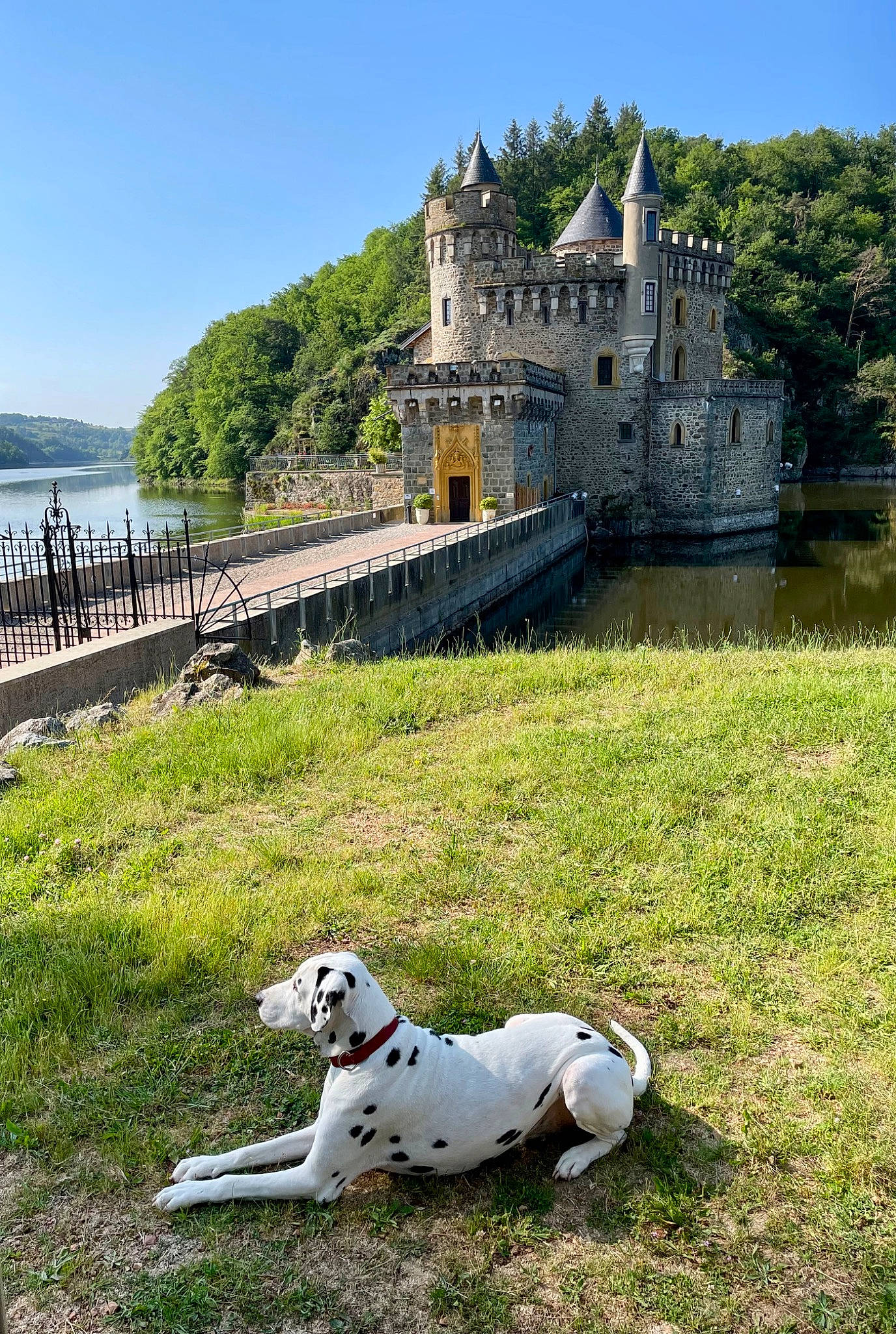 Halto participe au concours pour gagner de l'argent avec cette photo : building, carnivore, castle, companion_dog, dalmatian, dog, dog_breed, fawn, grass, grassland, lake, landscape, leisure, meadow, plant, sky, sporting_group, tree, water, working_animal