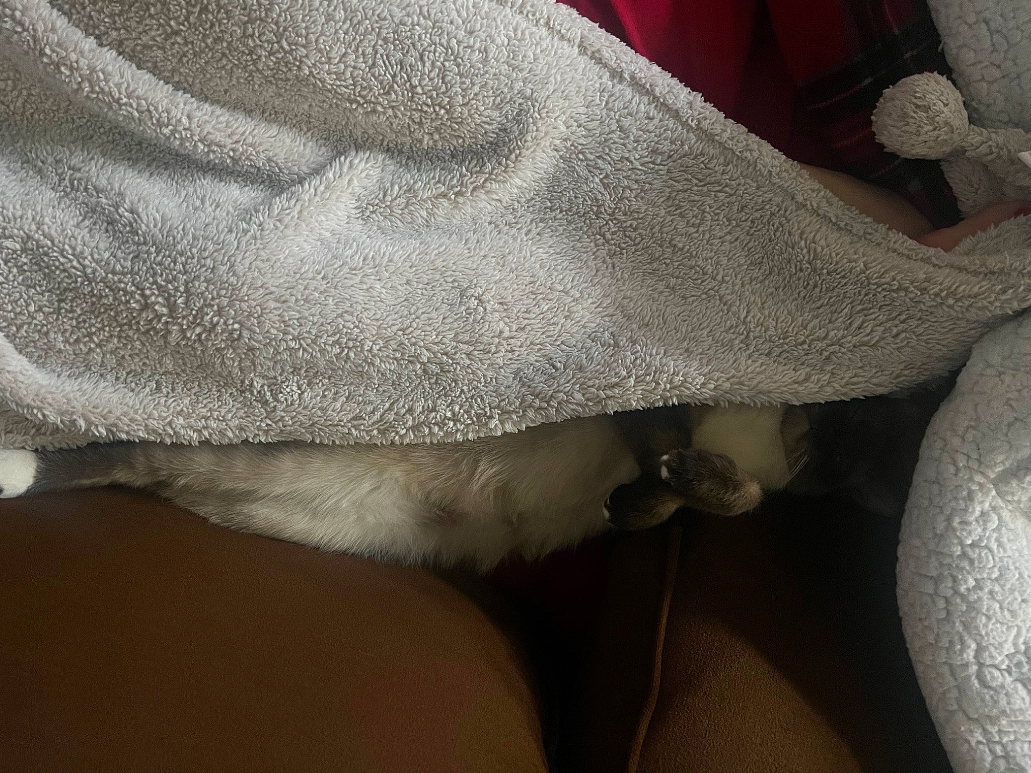 Estelle is registered to the contest to win money with this photo: carmine, close_up, comfort, denim, elbow, embellishment, fashion_accessory, foot, fur, grey, human_leg, knee, linens, nail, pattern, sleeve, thigh, wool, woolen, wrist