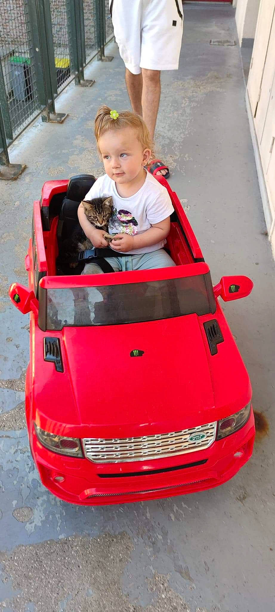 Louanne participe au concours pour gagner de l'argent avec cette photo : automotive_design, automotive_exterior, automotive_lighting, automotive_tire, bumper, car, green, grille, hood, land_vehicle, mode_of_transport, motor_vehicle, person, photograph, red, shorts, tire, vehicle, vehicle_registration_plate, wheel