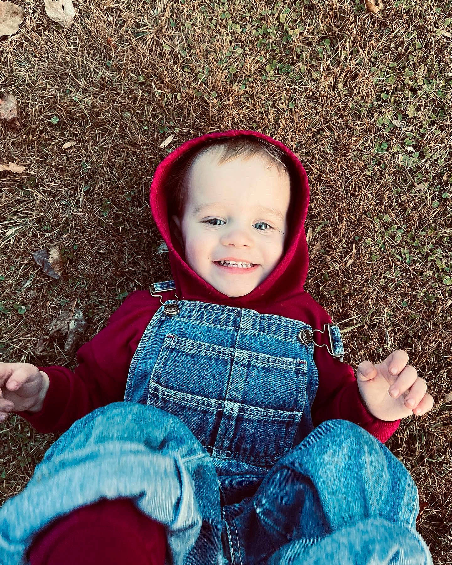 Jayden is registered to the contest to win money with this photo: baby, baby_toddler_clothing, child, electric_blue, eye, facial_expression, fun, grass, happy, head, joy, leisure, magenta, people_in_nature, person, sitting, skin, smile, toddler, tree