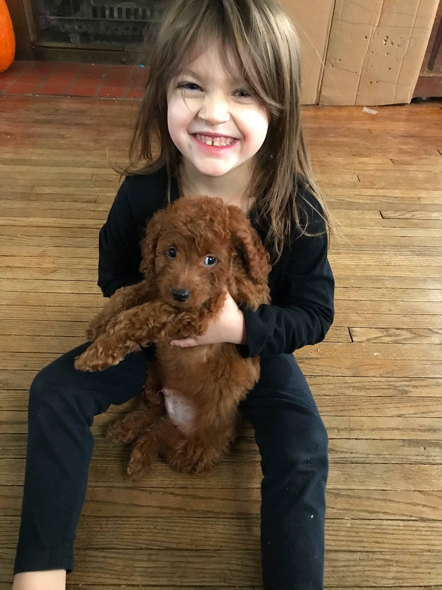 Addilyn joined the competition — help win amazing prizes! blond, carnivore, child, companion_dog, dog, dog_breed, fawn, flooring, fur, happy, hardwood, joy, liver, person, sitting, skin, smile, sporting_group, toddler, toy