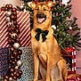 bowtie, celebration, christmas_lights, christmas_tree, dog, festive, festive_clothing, holiday_decor, holiday_spirit, indoor, ornaments, pet, pine_garland, presents, red_bow, reindeer_antlers, seasonal, smiling, tongue_out, wrapped_gift