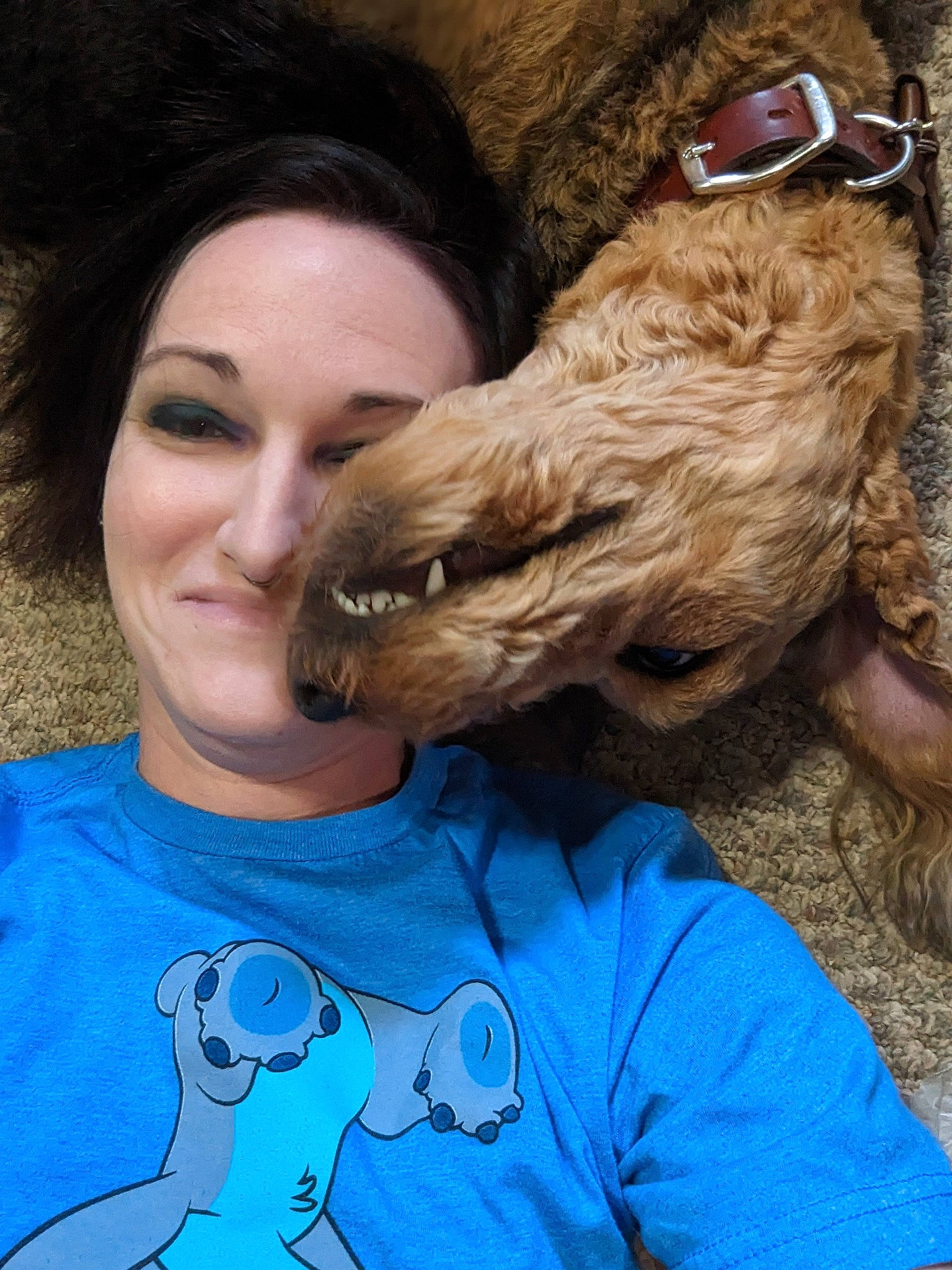 Hazelnut is registered to the contest to win money with this photo: brown_hair, carnivore, companion_dog, dog, dog_breed, electric_blue, eyewear, fawn, felidae, fun, fur, gesture, happy, liver, organ, skin, sleeve, snout, t_shirt, working_animal