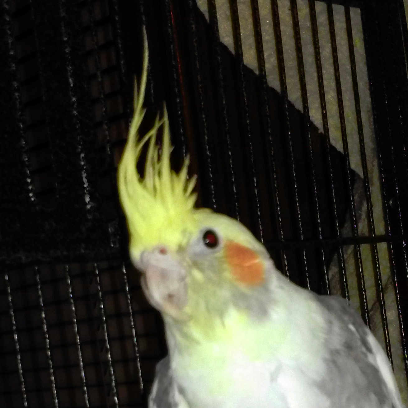Jack is registered to the contest to win money with this photo: