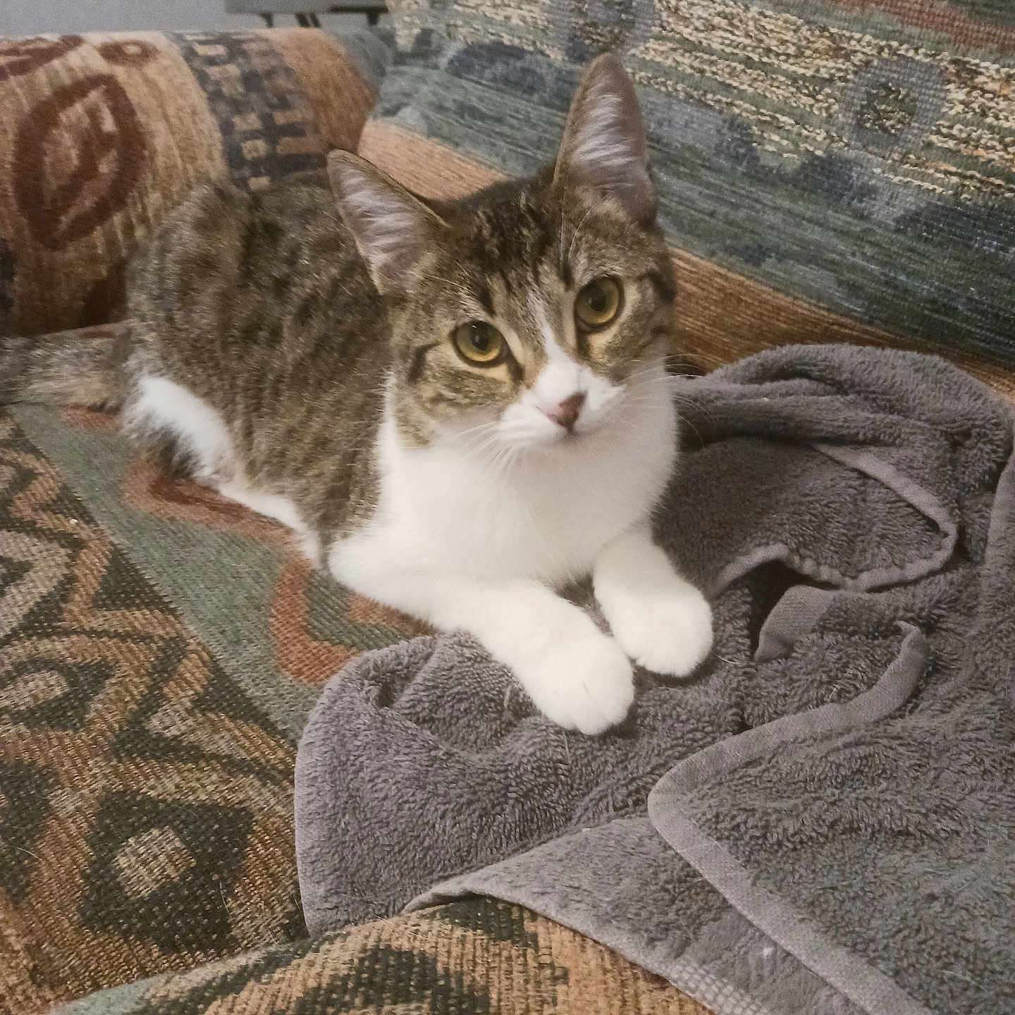Piper Mae
