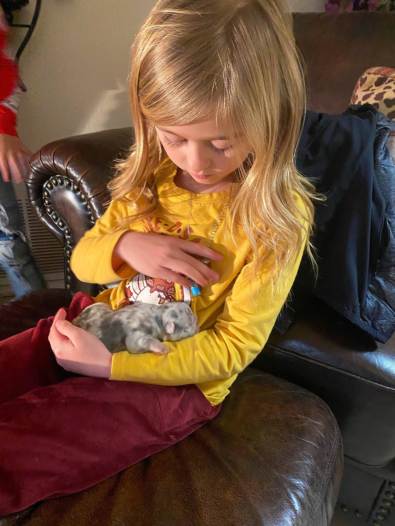 Charlee is registered to the contest to win money with this photo: blond, chair, child, comfort, feathered_hair, flooring, fun, fur, happy, human_leg, iris, lap, leather, long_hair, person, play, room, sitting, studio_couch, thigh