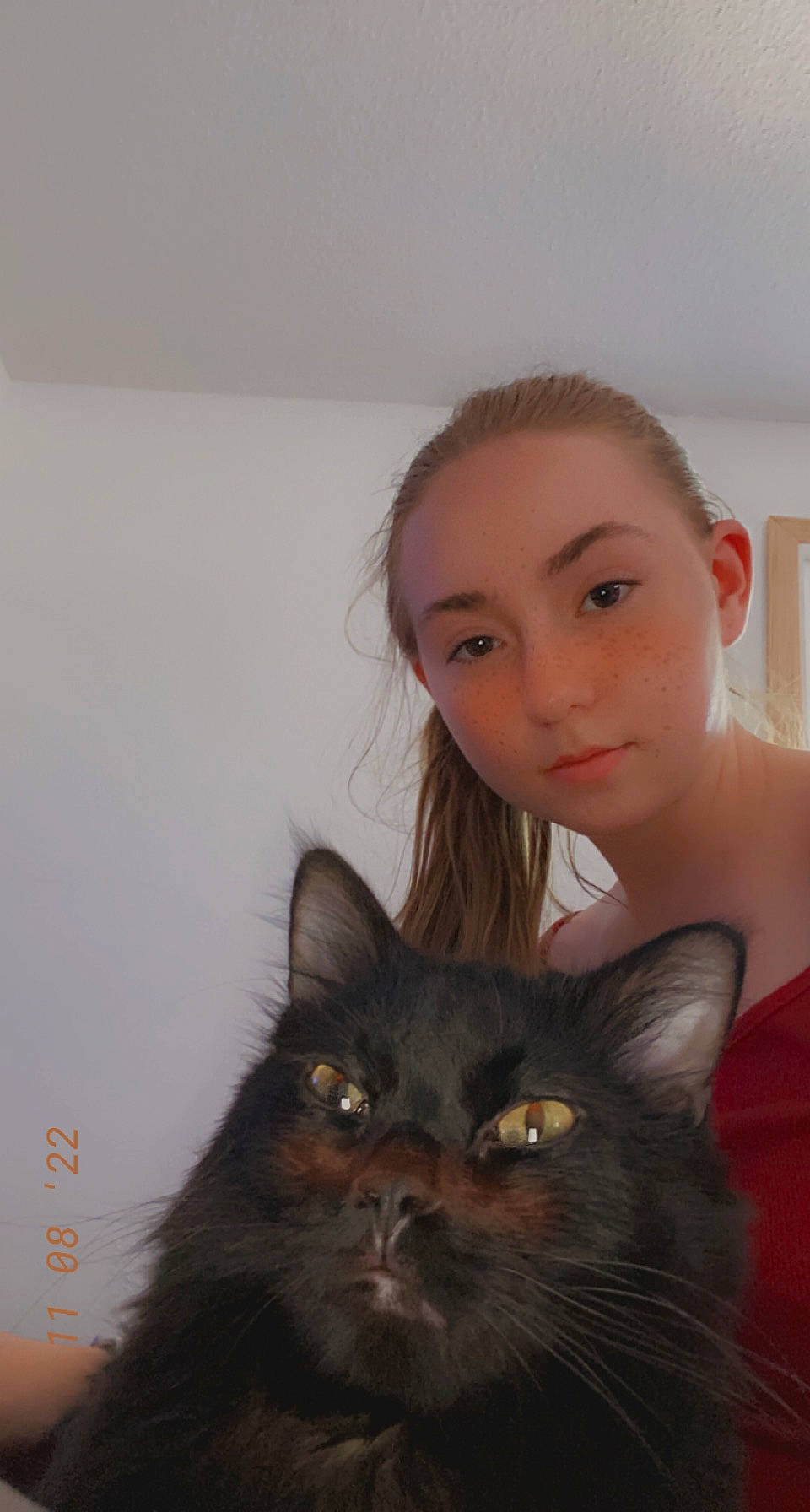 Lucifer is registered to the contest to win money with this photo: beard, black_cat, black_hair, brown_hair, carnivore, cat, domestic_short_haired_cat, ear, eye, eyelash, fawn, felidae, fur, head, iris, long_hair, small_to_medium_sized_cats, tail, whiskers, window