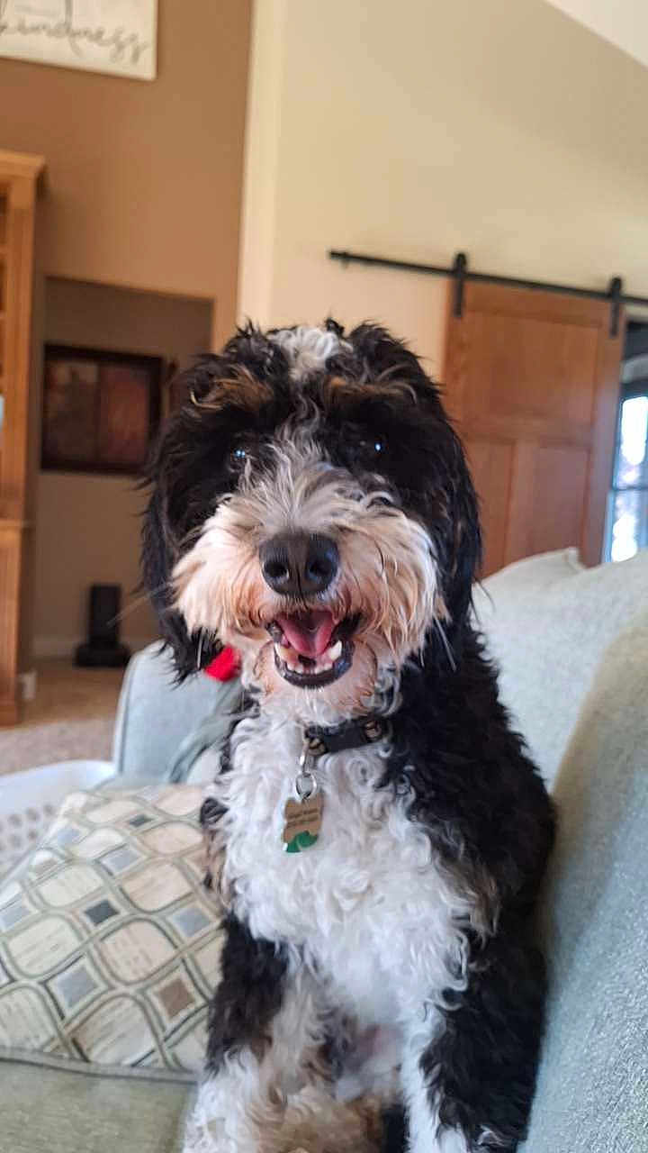 Bailey