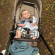 Henry is registered to the contest to win money with this photo: baby, stroller, blanket, outdoor, forest_path, leaves, autumn, child, curious, clothing, footwear, nature, walking, person, seat, fabric, soft_toy, foot, hand, daylight