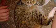 Caline participe au concours pour gagner de l'argent avec cette photo :