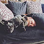 Jodye participe au concours pour gagner de l'argent avec cette photo : carnivoran, cat, cat_like_mammal, dog_like_mammal, kitten, mammal, nap, sleep, small_to_medium_sized_cats, snout, whiskers