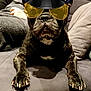 Jodye participe au concours pour gagner de l'argent avec cette photo : helmet