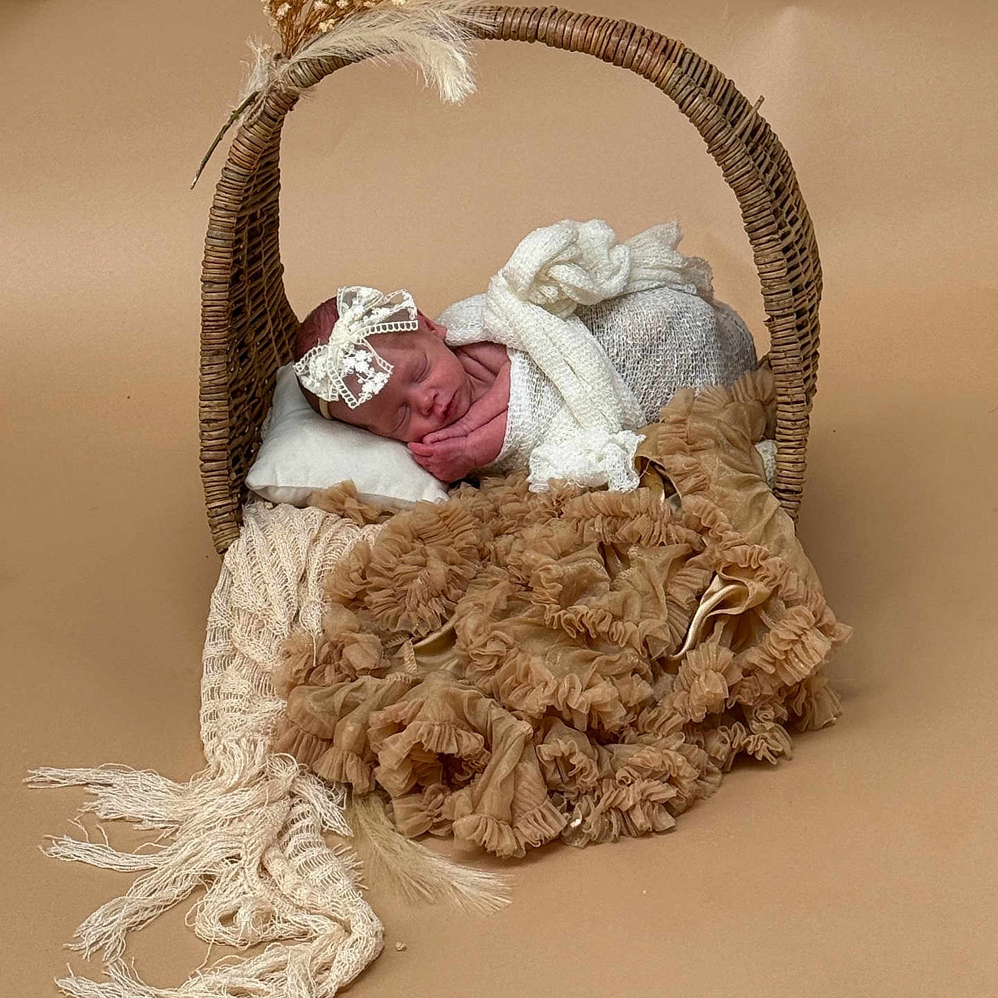 Shilo is registered to the contest to win money with this photo: baby, basket, beige, blanket, brown, cozy, cute, dried_flowers, fabric, headband, indoor, infant, knitted_wrap, lace, newborn, peaceful, pillow, portrait, resting, sleeping