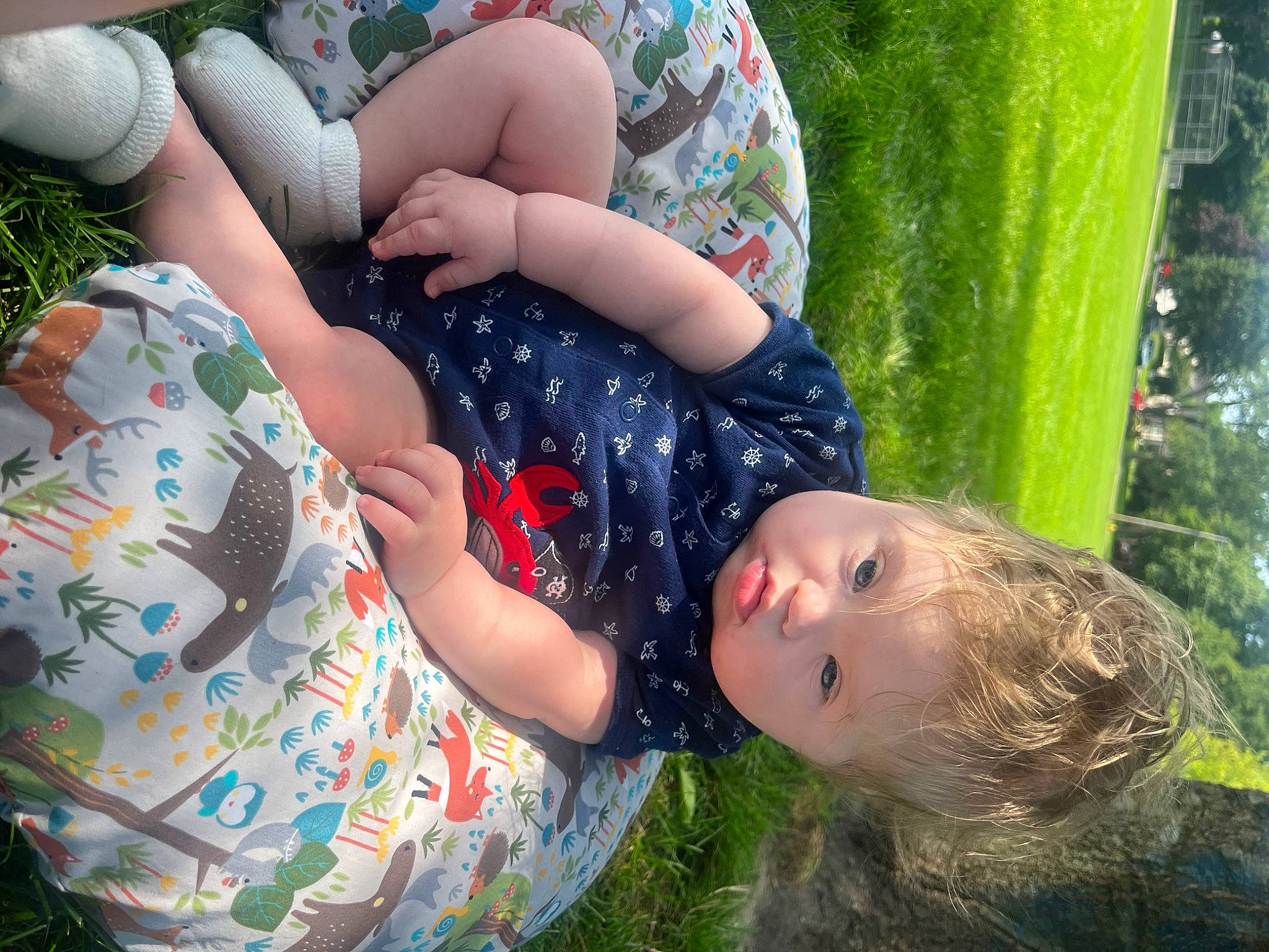 Weston is registered to the contest to win money with this photo: child, fun, grass, grass_family, grassland, happy, human_leg, lawn, leaf, leisure, pattern, people_in_nature, person, plant, play, recreation, sitting, thigh, toddler, tree