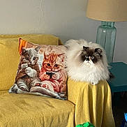 Iris joined the competition — help win amazing prizes! animal, cartoon, cat, couch, cute, decor, feline, fluffy, gray_cat, home, illustration, indoor, lamp, orange_cat, pillow, playing, relaxing, table, video_game, yellow