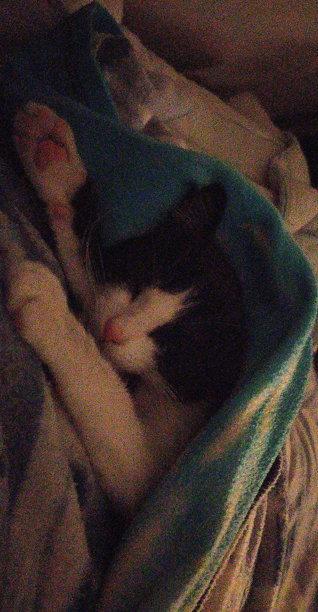 Paolo participe au concours pour gagner de l'argent avec cette photo : art, cat, felidae, flesh