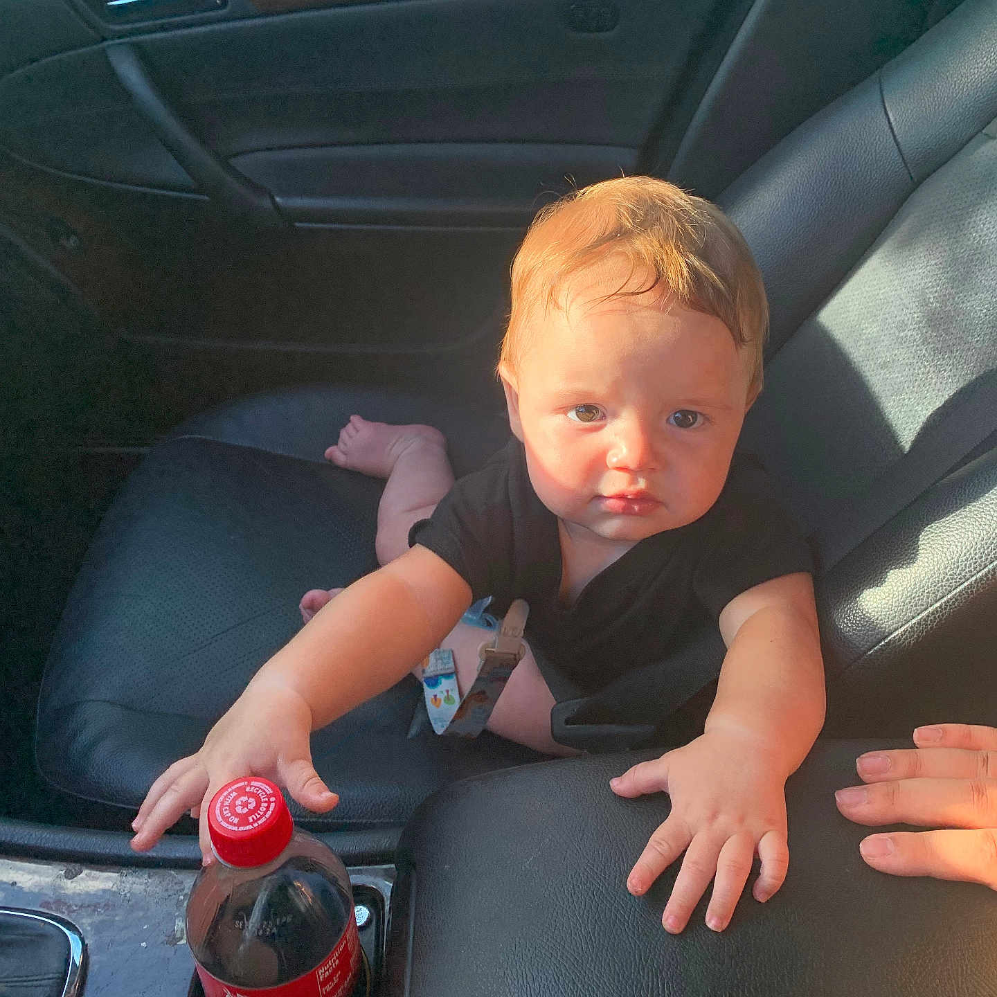 Atlas is registered to the contest to win money with this photo: armrest, baby, black_clothing, car, car_interior, child, coca_cola_bottle, cup_holder, curious, dashboard, door_handle, hand, infant, leather_seat, person, reaching, seat, seatbelt_clip, sunlight, window