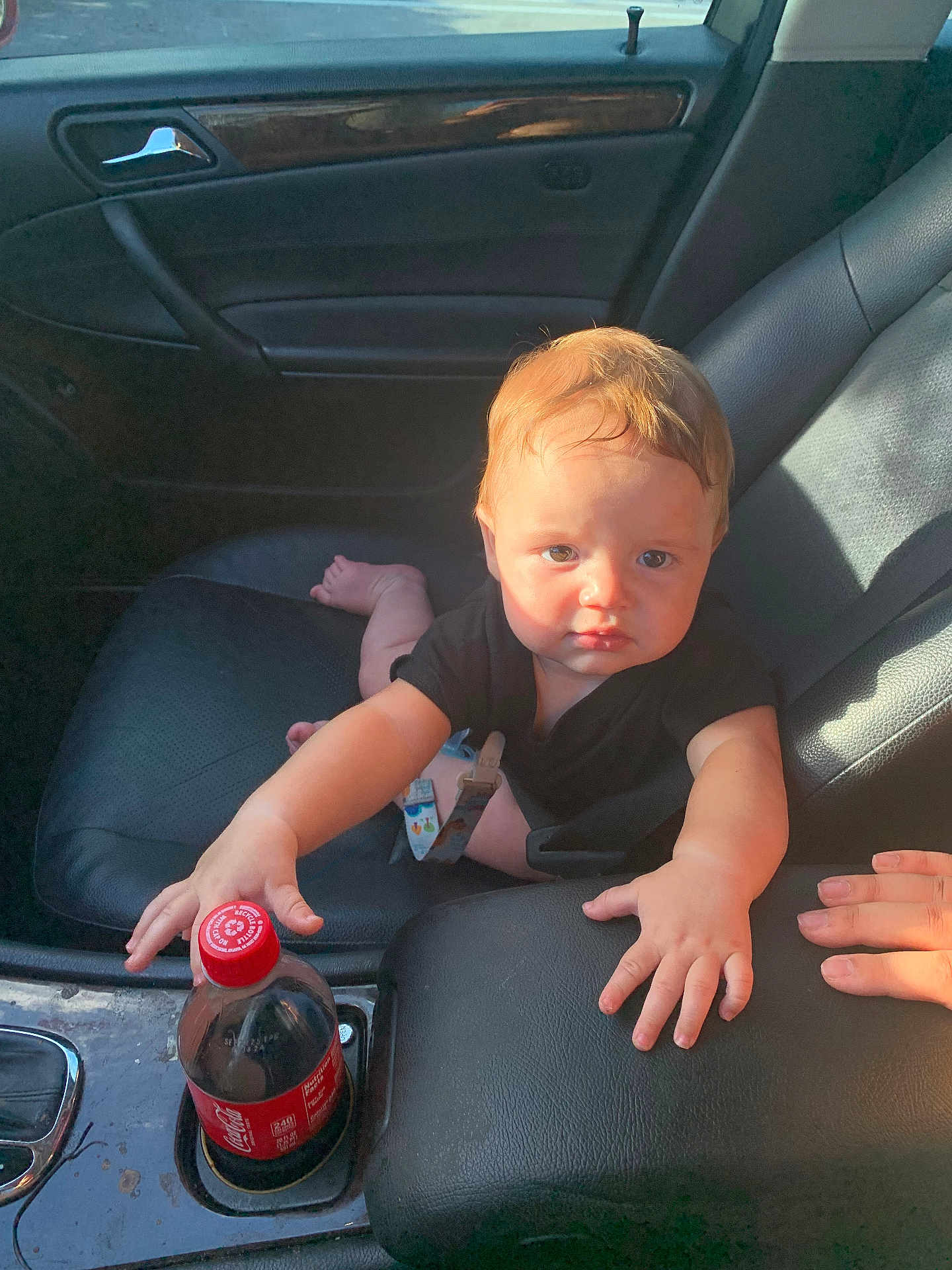 Atlas is registered to the contest to win money with this photo: armrest, baby, black_clothing, car, car_interior, child, coca_cola_bottle, cup_holder, curious, dashboard, door_handle, hand, infant, leather_seat, person, reaching, seat, seatbelt_clip, sunlight, window