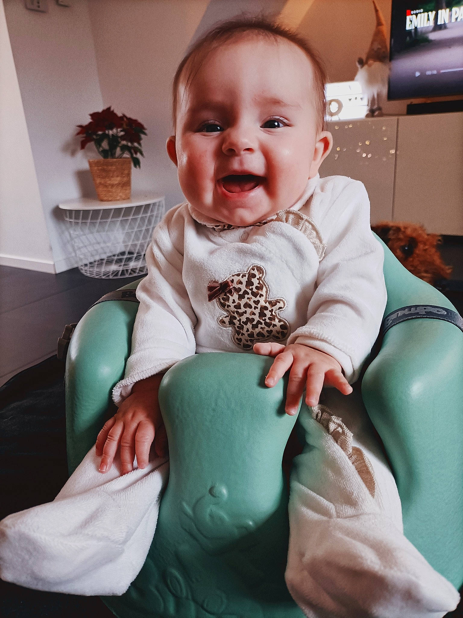 Milou a rejoint le concours — aidez-le/la à gagner de superbes lots ! baby, baby_toddler_clothing, cheek, child, comfort, cool, flowerpot, happy, houseplant, human_body, iris, knee, lap, person, sitting, skin, sleeve, smile, television, thigh