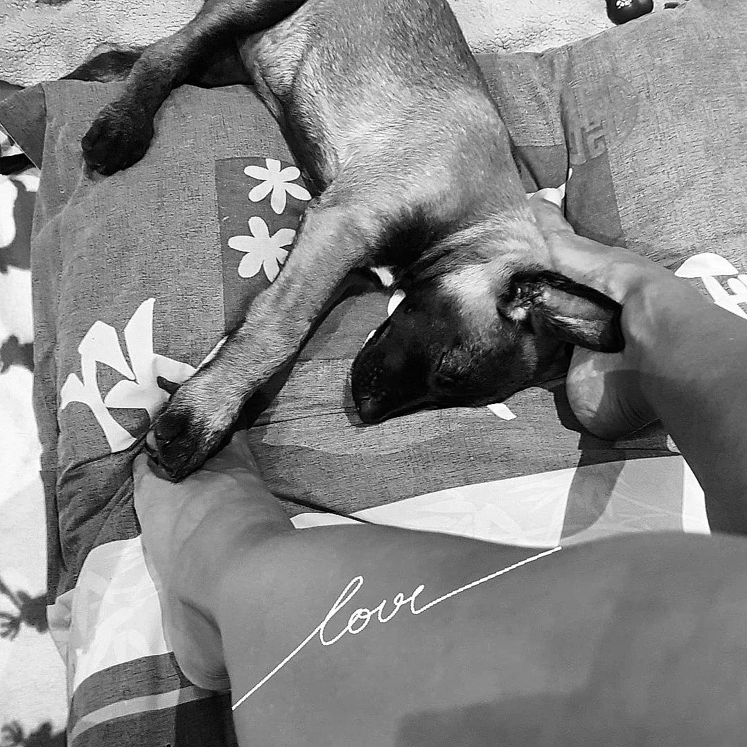 Taily participe au concours pour gagner de l'argent avec cette photo : art, black_and_white, elbow, finger, font, gesture, human_leg, joint, knee, monochrome, monochrome_photography, nail, pattern, sleeve, style, tattoo, temporary_tattoo, thigh, trunk, wrist