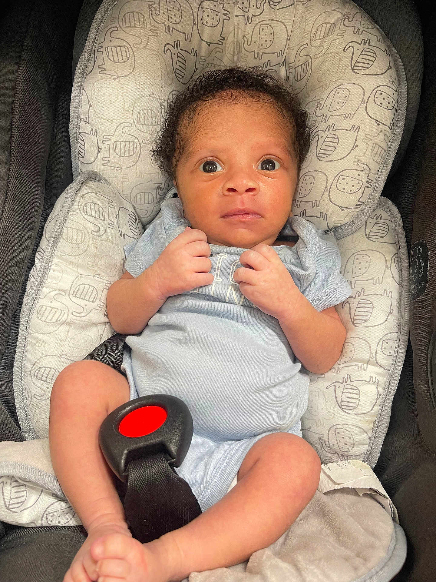 Avery joined the competition — help win amazing prizes! baby, newborn, infant, car_seat, onesie, clothing, curly_hair, face, eyes, hands, legs, foot, seatbelt, pattern, fabric, child, person, cute, indoor, portrait