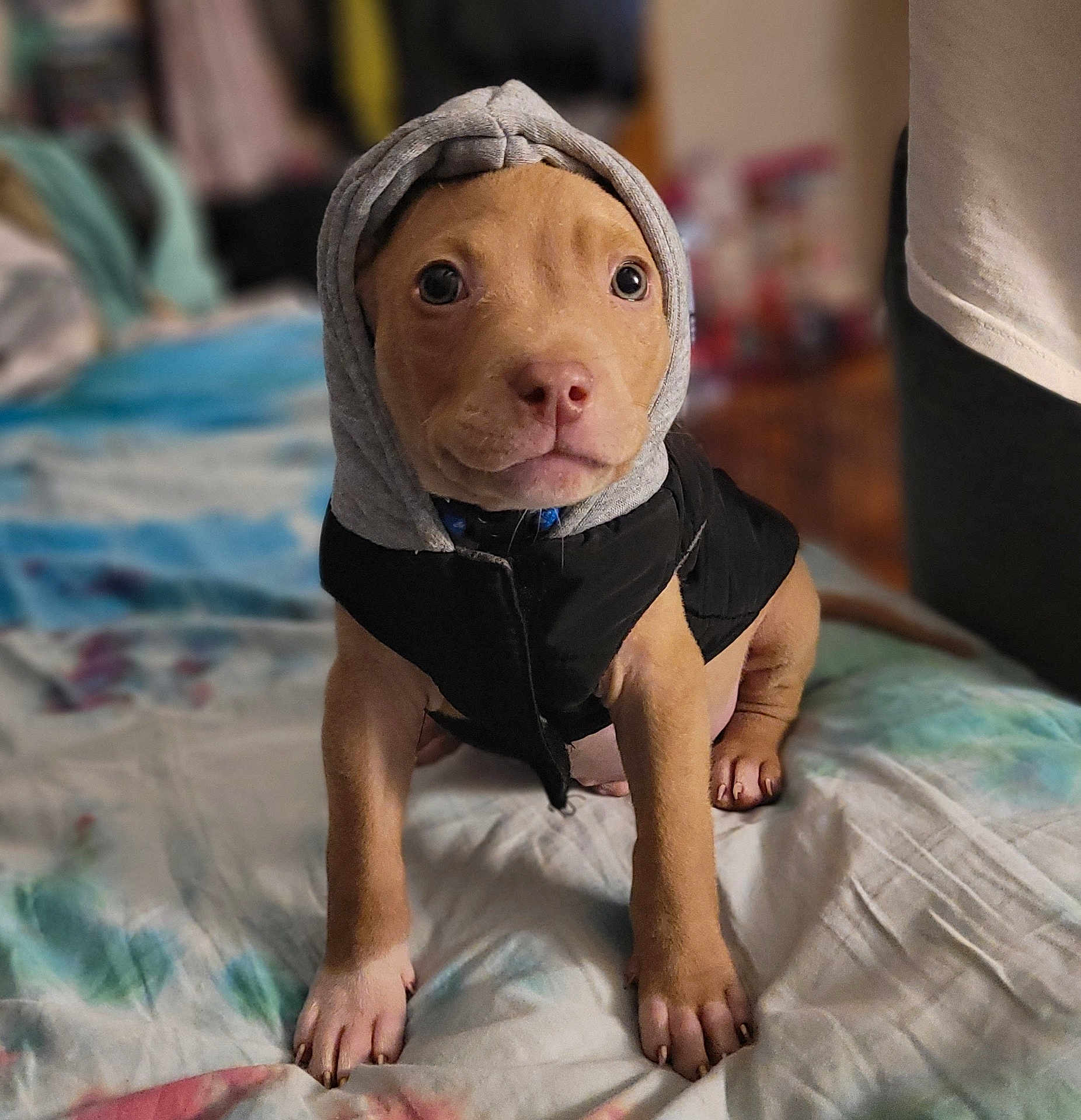 Tiny