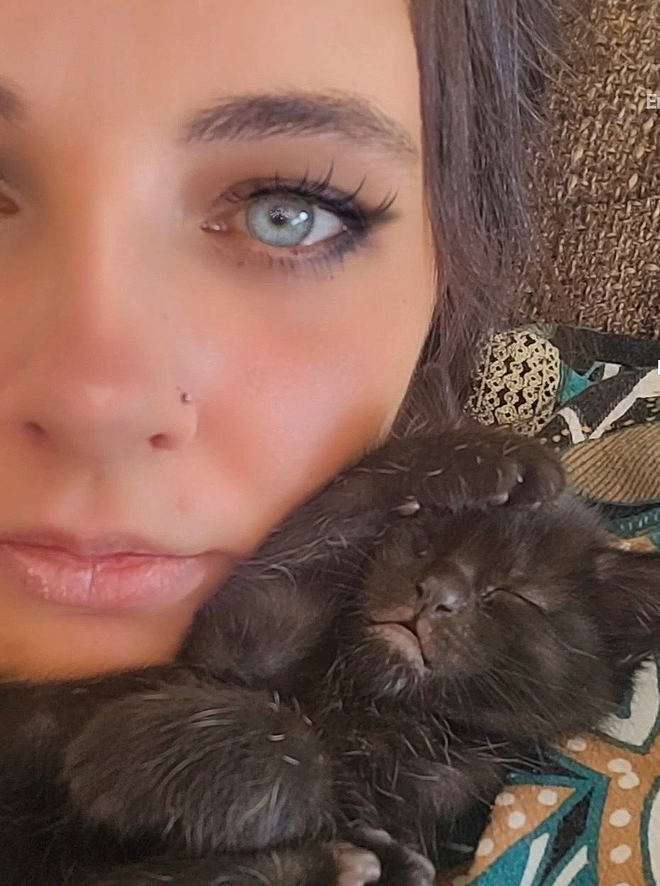 Ruby participe au concours pour gagner de l'argent avec cette photo : black_cat, brown_hair, carnivore, cat, companion_dog, dog_breed, dress, eye_liner, eyelash, fawn, felidae, fur, iris, lip, long_hair, makeover, nose, skin, small_to_medium_sized_cats, whiskers