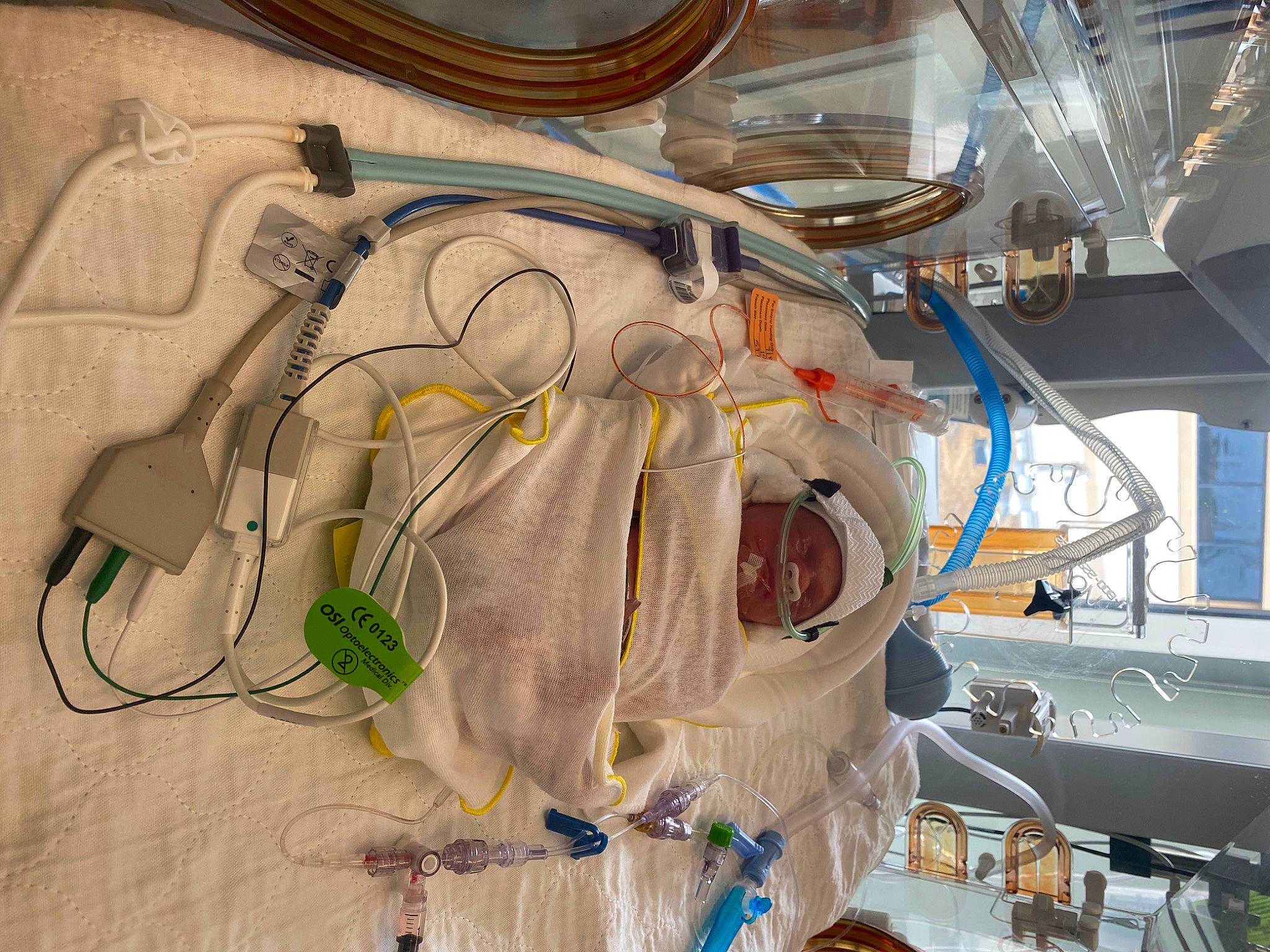 Hasley joined the competition — help win amazing prizes! aerospace_engineering, auto_part, cable, cable_management, electrical_network, electrical_supply, electrical_wiring, electricity, electronic_device, electronic_engineering, electronics_accessory, engineering, gas, headwear, machine, person, pipe, room, science, service