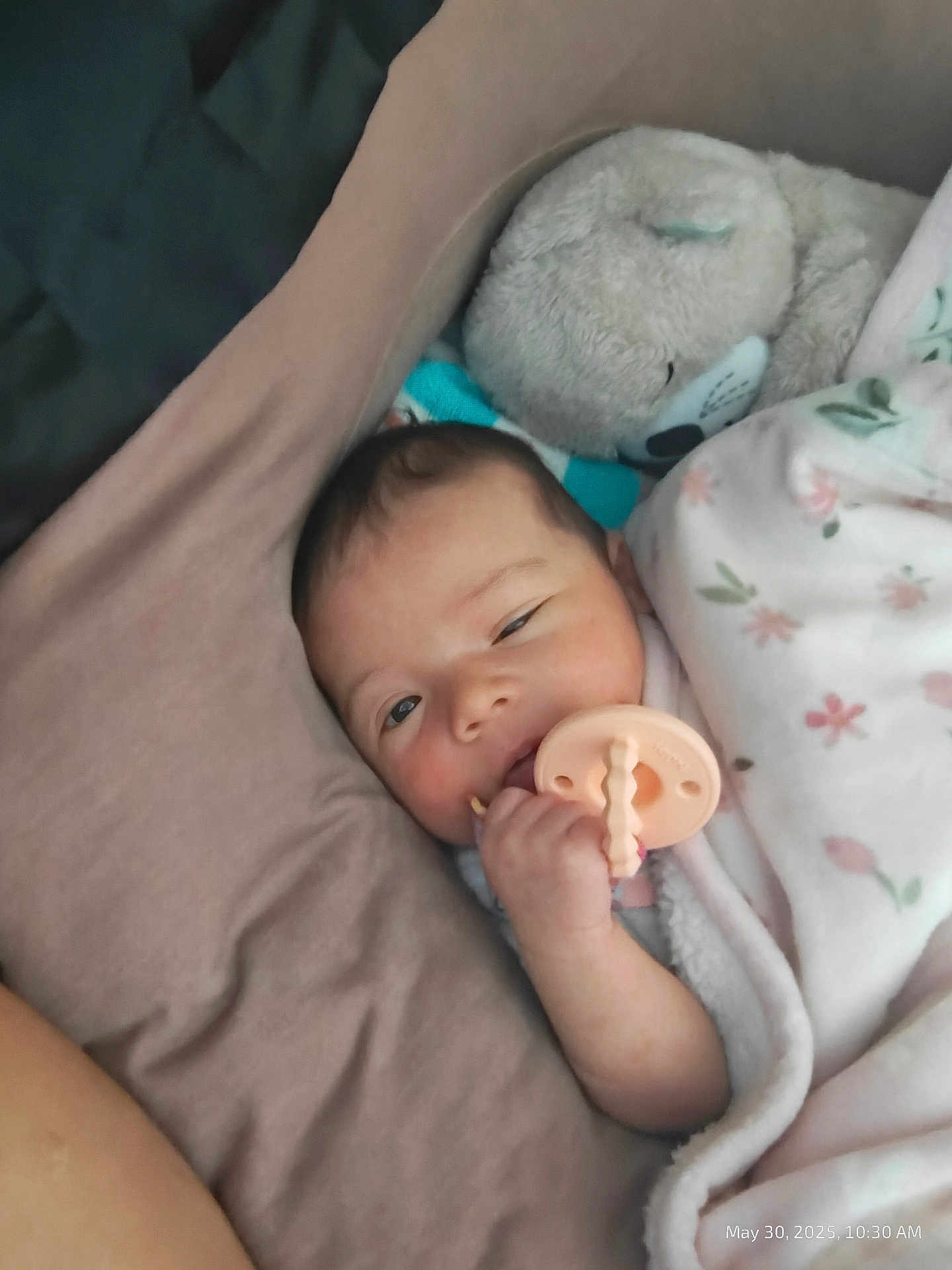 Liliana is registered to the contest to win money with this photo: baby, pacifier, blanket, plush_toy, teddy_bear, bed, sleepy, child, infant, cozy, soft, cute, wrapped, hand, face, comfort, rest, indoor, peaceful, portrait
