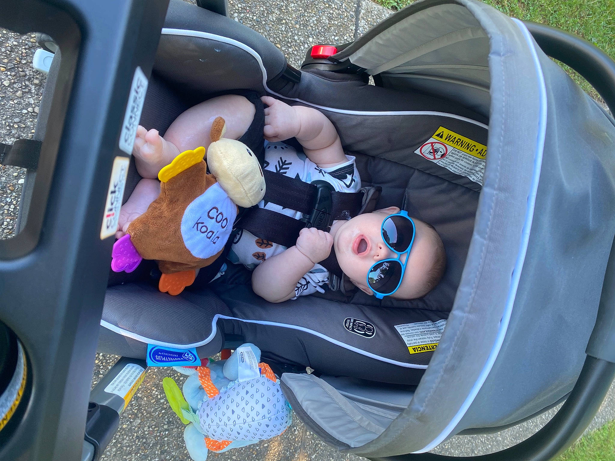 Bellamy joined the competition — help win amazing prizes! auto_part, automotive_design, automotive_exterior, bag, car, car_seat, car_seat_cover, family_car, head_restraint, luggage_and_bags, luxury_vehicle, motor_vehicle, person, plant, recreation, rim, steering_wheel, trunk, vehicle, vehicle_door