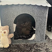 Iris participe au concours pour gagner de l'argent avec cette photo : animal, black_cat, carpet, cat, comfort, cozy, cute, dark, eyes, felt, fluffy, furniture, indoor, owl_toy, pet, pet_house, plush_toy, rug, soft, texture