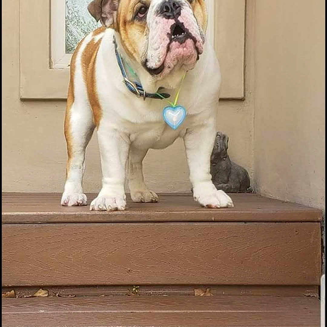 Romeo