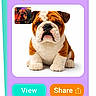 bulldog, plush, dog, toy, white_background, mobile_screen, app_interface, button, text_overlay, colorful, purple, orange, green, pet, generated_image, cute, animal, screenshot, fun, interface