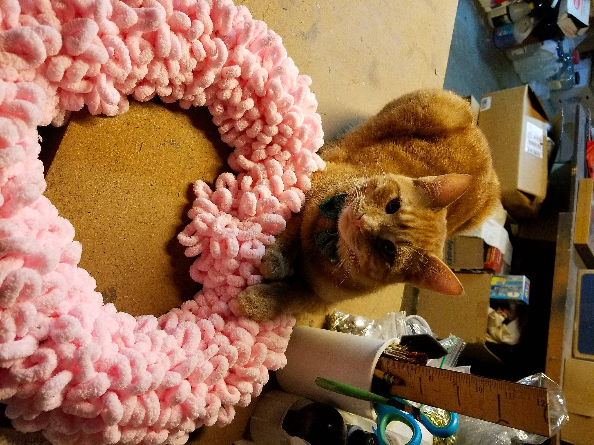 Prince Harry joined the competition — help win amazing prizes! cut_flowers, event, fashion_accessory, floral_design, flower_arranging, fur, magenta, peach, petal, pink, sweetness, textile, thread, toy, vertebrate, wool