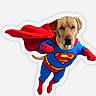 dog, superman, costume, cape, blue_suit, red_gloves, red_boots, superhero, animal, pet, flying_pose, humor, funny, mascot, comic, character, canine, portrait, isolated, white_background