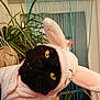 cat, black_cat, costume, bunny_ears, pet, indoor, plants, curious, animal, whiskers, yellow_eyes, soft_fabric, cute, head_tilt, feline, domestic_animal, cozy, portrait, funny, pink