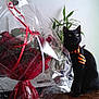 cat, black_cat, tie, flower_bouquet, roses, red_roses, baby's_breath, wrapped_flowers, ribbon, indoor, plant, table, wooden_table, pet, animal, domestic_cat, still_life, decor, celebration, gift