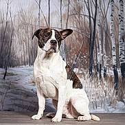 Taz a rejoint le concours — aidez-le/la à gagner de superbes lots ! animal, background, birch_trees, black, brown, calm, dog, ears_up, facing_left, forest, indoor, painting, pet, portrait, sitting, snow, studio, trees, white, winter