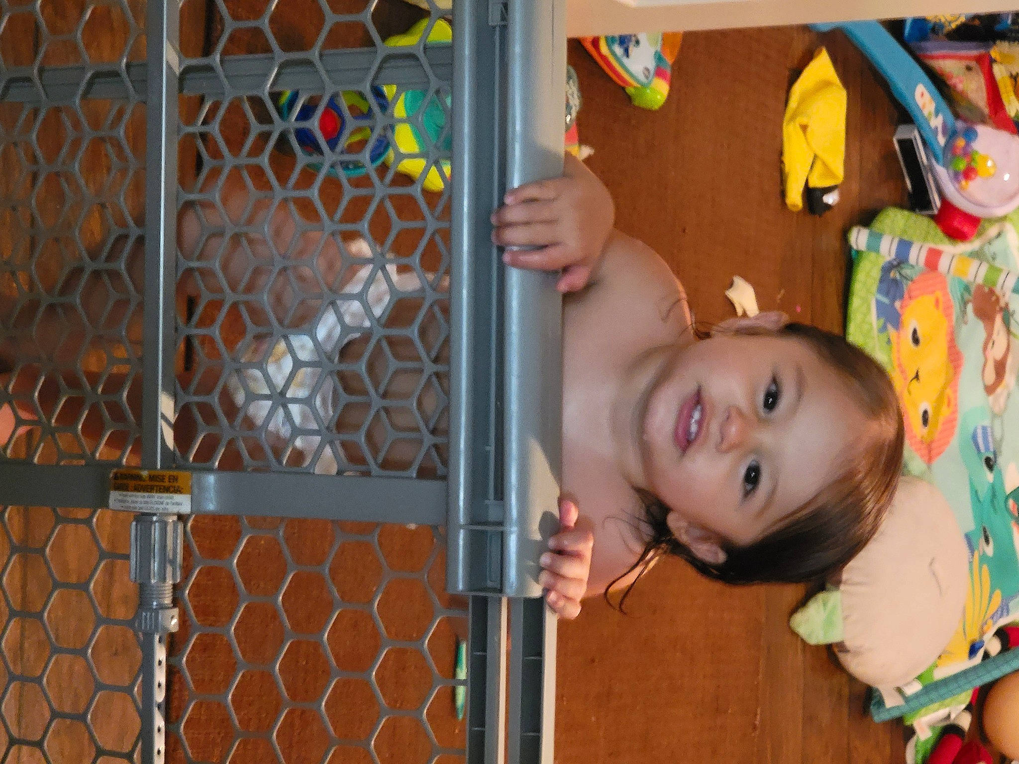 Gunner is registered to the contest to win money with this photo: baby, baby_products, baby_safety, baby_toddler_clothing, child, fence, fun, happy, leisure, mammal, mesh, nose, orange, person, play, room, shelf, smile, textile, toddler