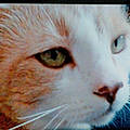 Olivier B.