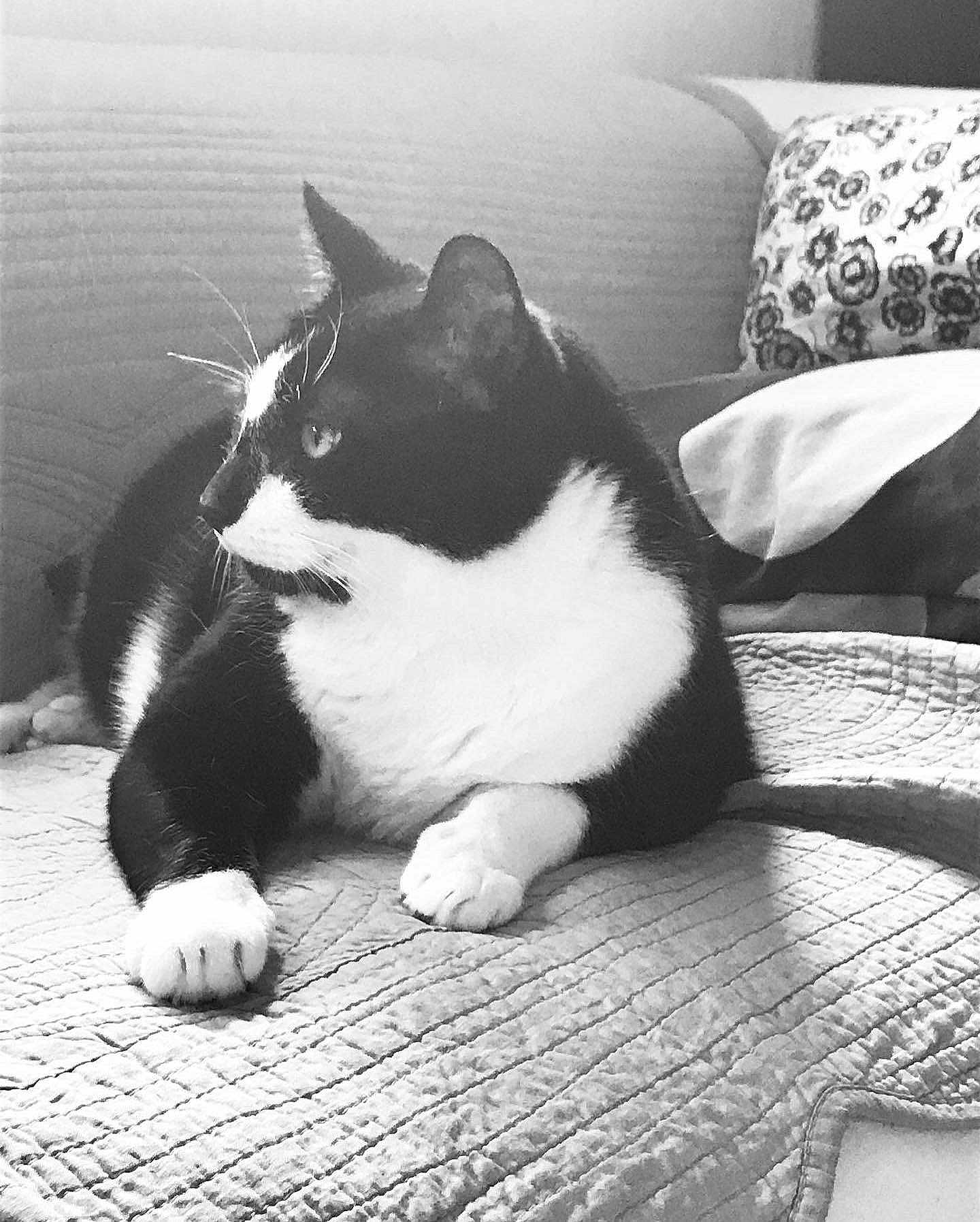 Kiki