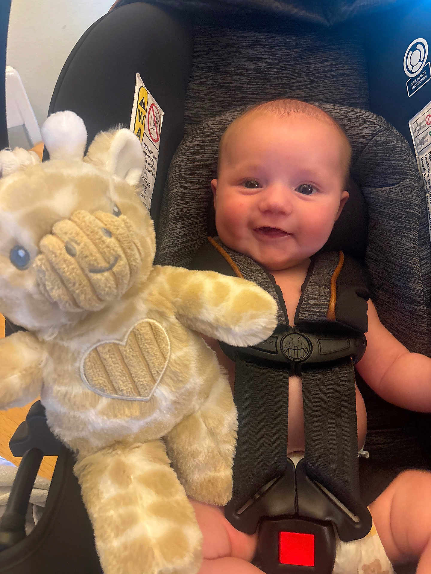 Bronson joined the competition — help win amazing prizes! baby, car_seat, plush_toy, giraffe, smiling, child, infant, seatbelt, cute, indoor, safety, toy, happiness, childcare, portrait, person, soft_toy, seat, baby_clothing, happy