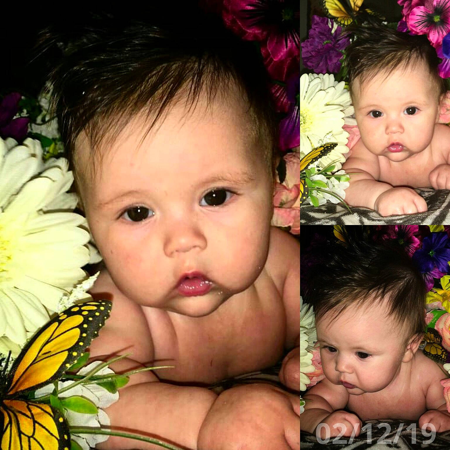 Persephone is registered to the contest to win money with this photo: baby, cheek, child, child_model, collage, eye, face, flower, gesture, happy, head, iris, nose, person, photography, photomontage, plant, sibling, skin, smile