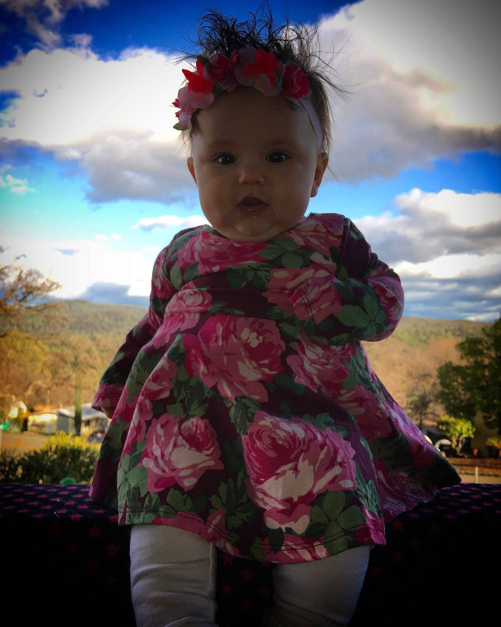 Persephone joined the competition — help win amazing prizes! child, cloud, leaf, outerwear, person, photography, pink, plant, sky, smile, toddler