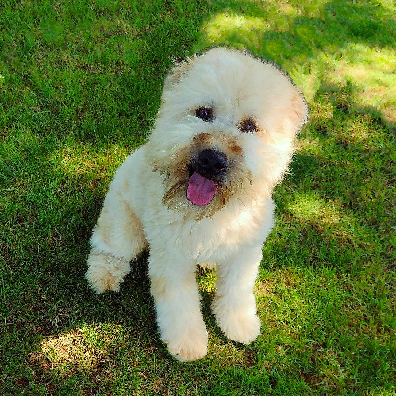 Winston