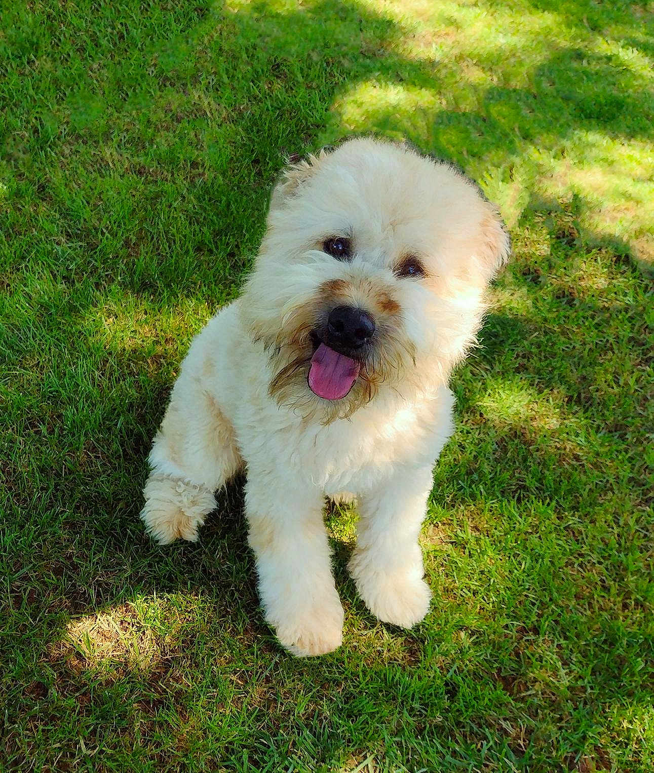 Winston